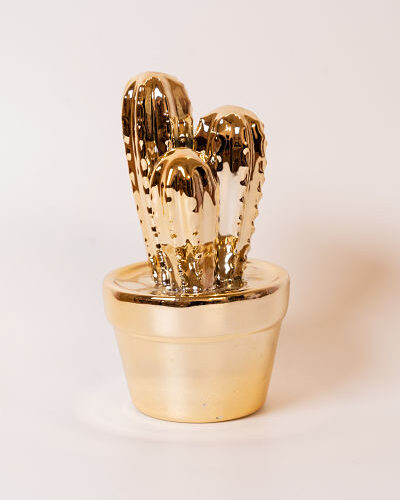 cactus_gold_miss_etolie