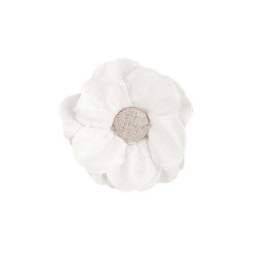 fiore_bianco